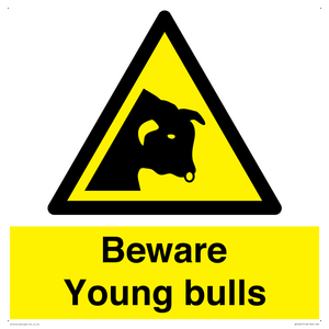Beware Young bulls